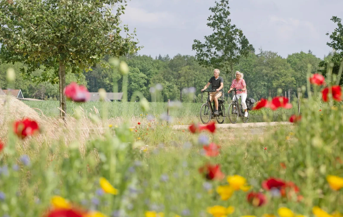 Fietsen in het groene landschap rond Frederiksoord